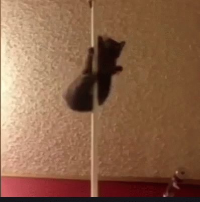 Jadi antar member saling memilihkan kegiatan dan tidak boleh protes 🐯 yoongi main pole dancing 🐱 yah, itu cocok untukku Disini tuh pada asbun tapi lucu bgt malah diiyain 😭 ~🪶