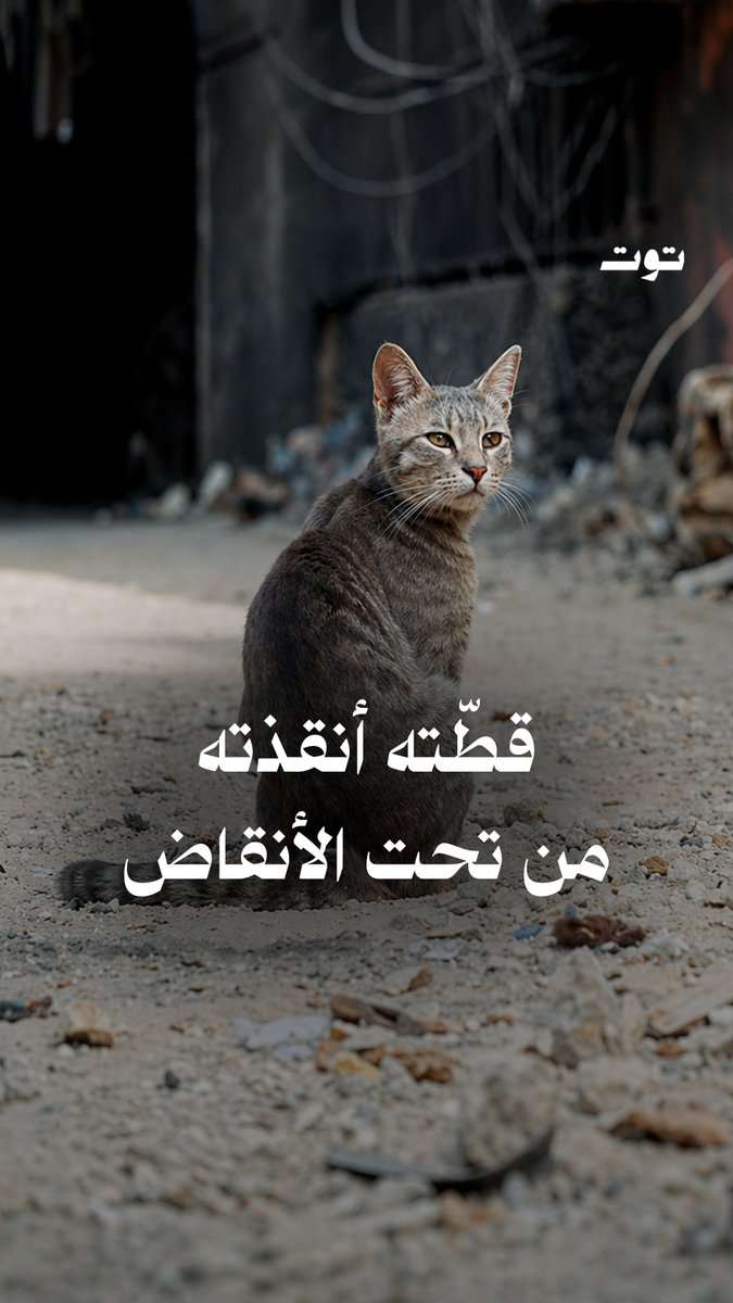 يروي الشاب حسين همدر الذي قضى تحت الركام أكثر من 4 ساعات كيف أنقذته قطته "سيسي" من المـ.ـوت بعدما كانت في حضنه لحظة الغـ.ـارة الإسـ.ـرائيلية على منزله في حي السلم، نهار الأربعاء الأسود 8 نيسان 2026. الحلقة كاملة على يوتيوب توت الرابط الموجود تحت الفيديو