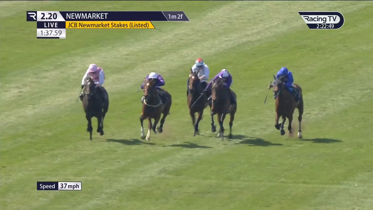 🟣 Ancient Egypt lands the Listed Newmarket Stakes
