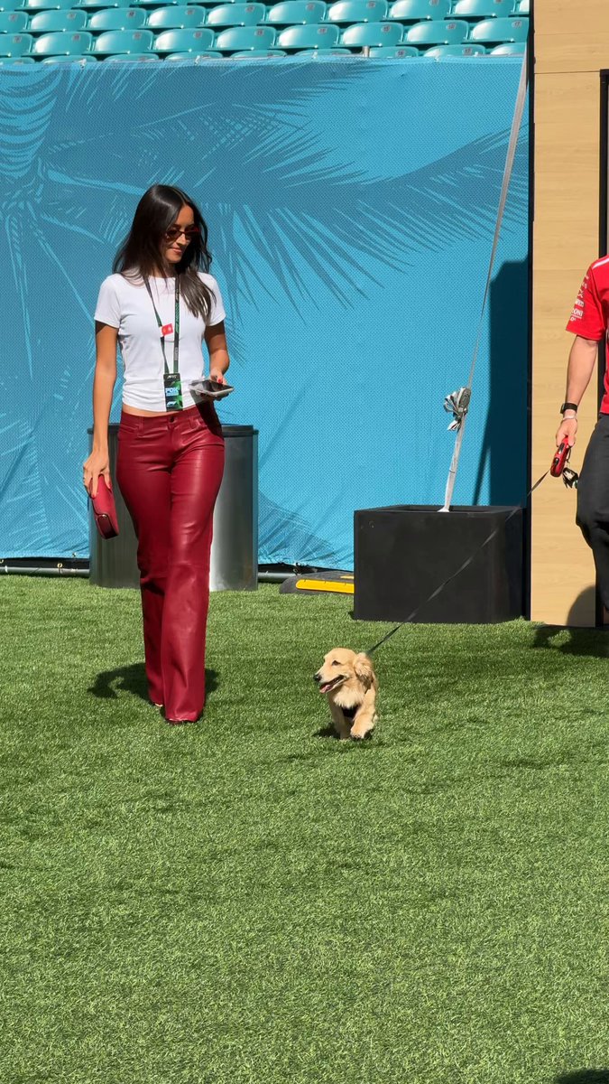Leo’s BACK in Miami 🤩🐾 #MiamiGP | Scuderia Ferrari HP Formula 1