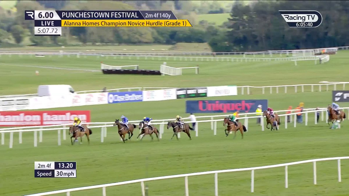 CLINGS ON 🫣 Turners Novices' Hurdle winner King Rasko Grey scrapes home from the fast-finishing Lord Byron in the Grade 1 Champion Novice Hurdle Punchestown. Willie Mullins | Paul Townend