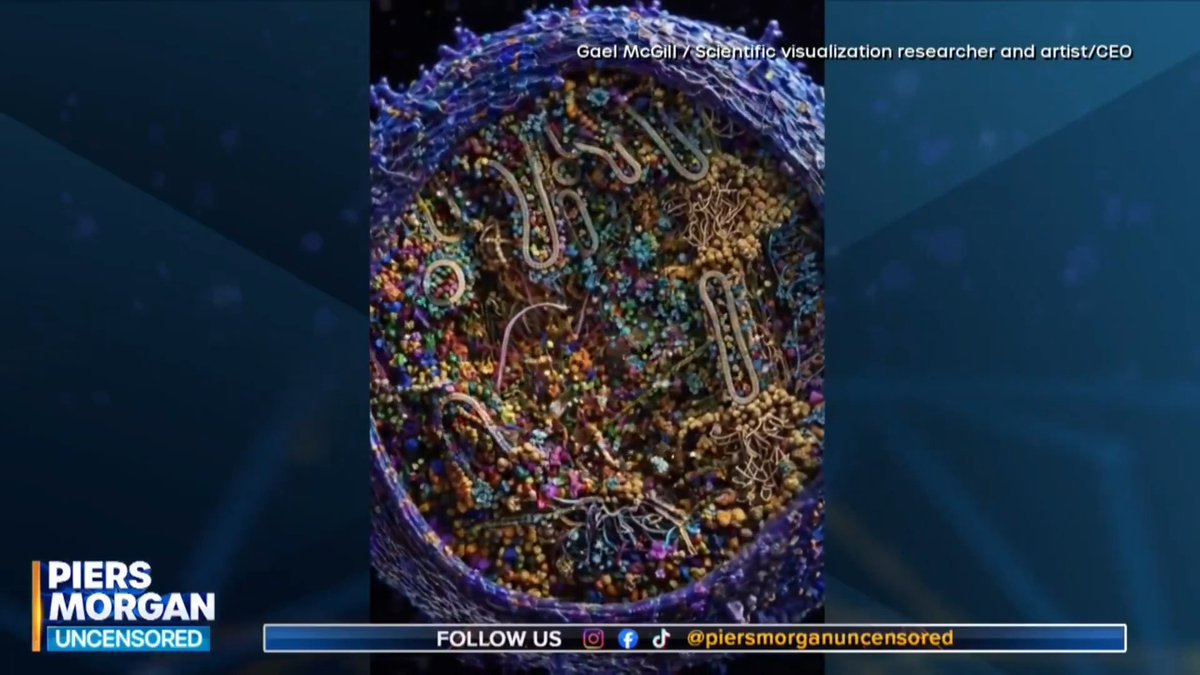 "No evolutionary biologist has a compelling, persuasive or even plausible theory!" Stephen Meyer argues that Cambridge University’s detailed cell reconstruction suggests the universe was created by something more complex. 📺 Piers Morgan | Stephen C. Meyer