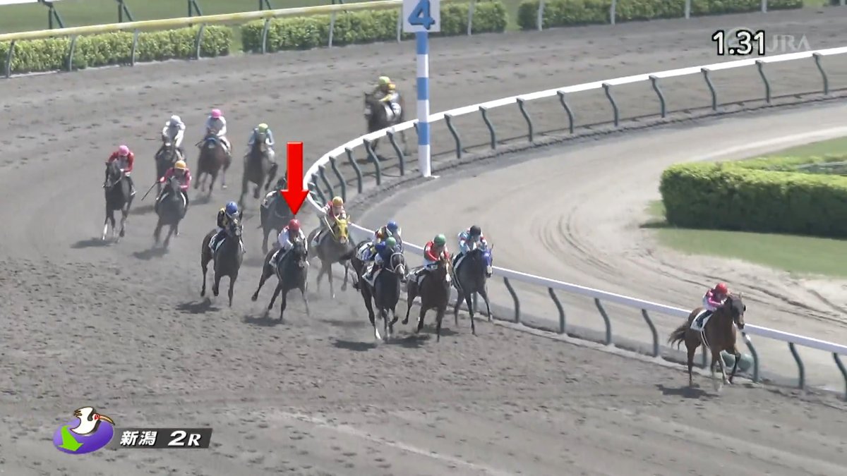 【鮮やかな差し切り🏇】 今日から短期騎手免許で騎乗となっているF.ゴンサルベス騎手が新潟2Rで今年初騎乗・初勝利となりました✨