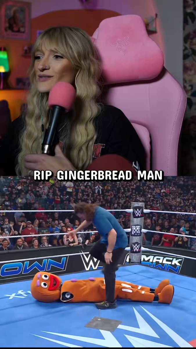 WTF did you do Sami Zayn