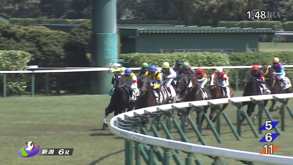 【#カムニャック の弟が待望の初勝利👑】 姉にオークス馬カムニャックがいる #プレイザリード がデビュー6戦目で初勝利💪 兄の #キープカルム は本日開催される京王杯スプリングカップに出走予定👀