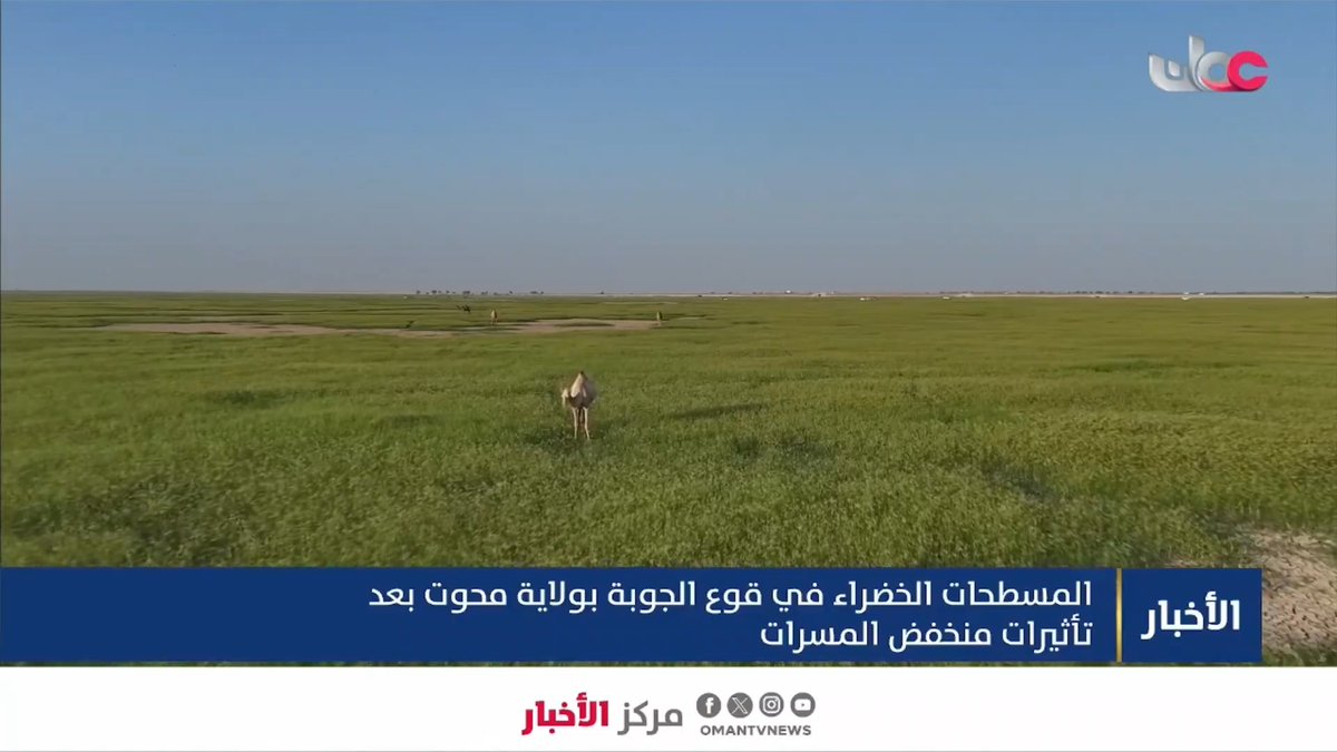 ▶️ تقرير | المسطحات الخضراء في قوع الجوبة بولاية #محوت بعد تأثيرات منخفض المسرات. #مركز_الأخبار