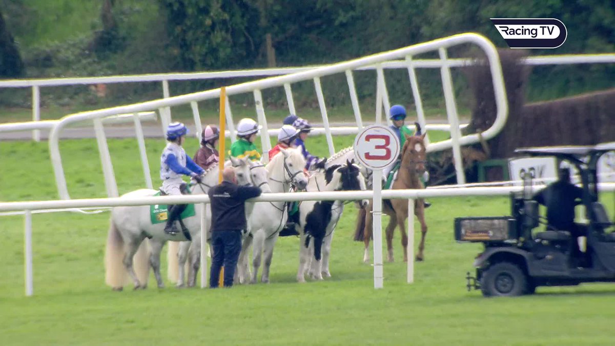 The McManus silks carried to success by grey pony Shanna Dexter 🟢🟡⚪️