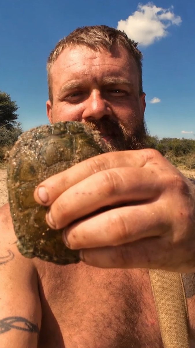 Diving in for the catch 🐢 #NakedandAfraid Season Finale Sunday at 8P on Discovery.