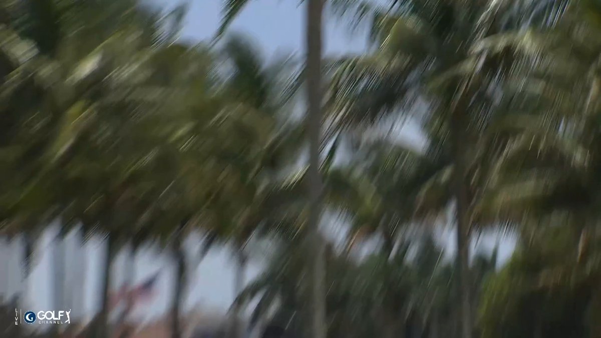 This fan at Doral took a Nick Taylor drive to the arm, but he seems to be in good spirits 😅🤙