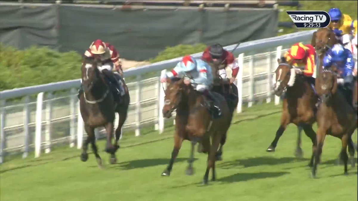 "I'm wanting to have more - and actively trying to." Harry Derham had Flat success with Gallivanted at Goodwood Racecourse on Friday and the Grade 1-winning trainer tells us more about future plans #LuckOnSunday |World Pool
