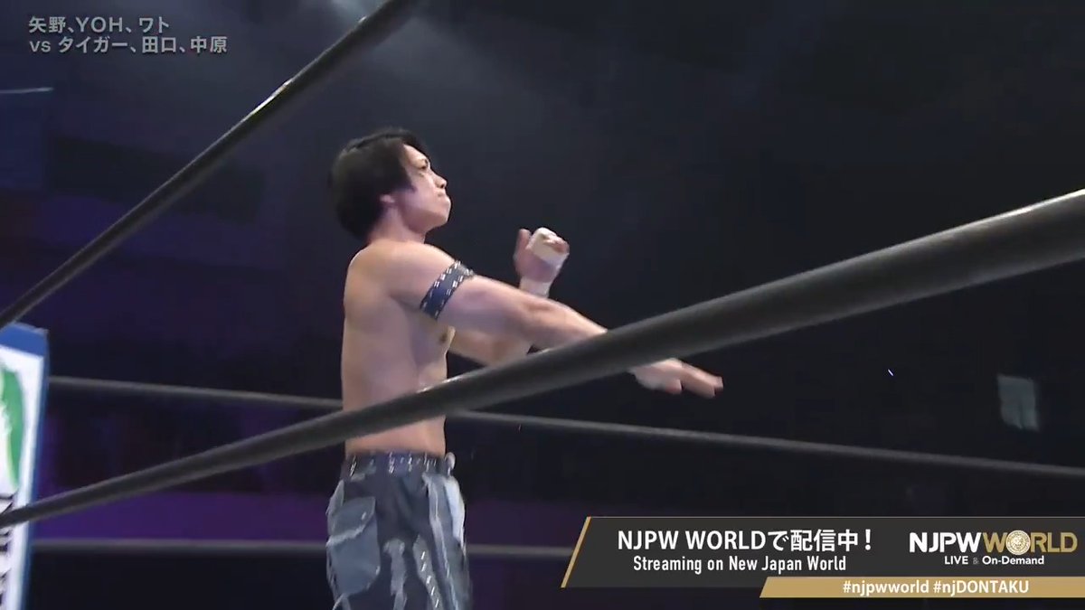 🎆レスリングどんたく 2026🎆 田口監督🆚YOH監督、軍配が上がるのはどちらだ⁉️ 🆚 新日本本隊🦁 × 新日本本隊🦁 「NJPW WORLD」で配信中📡 視聴＆登録⏩「NJPW WORLD」で検索 #njpwworld #njDONTAKU
