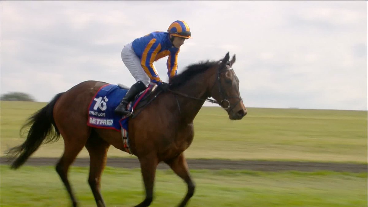 🏆TRUE LOVE WINS THE BETFRED 1000 GUINEAS🏆 An eighth 1000 Guineas for Aidan O'Brien ❤️ #ITVRacing | Coolmore | Wayne Lordan