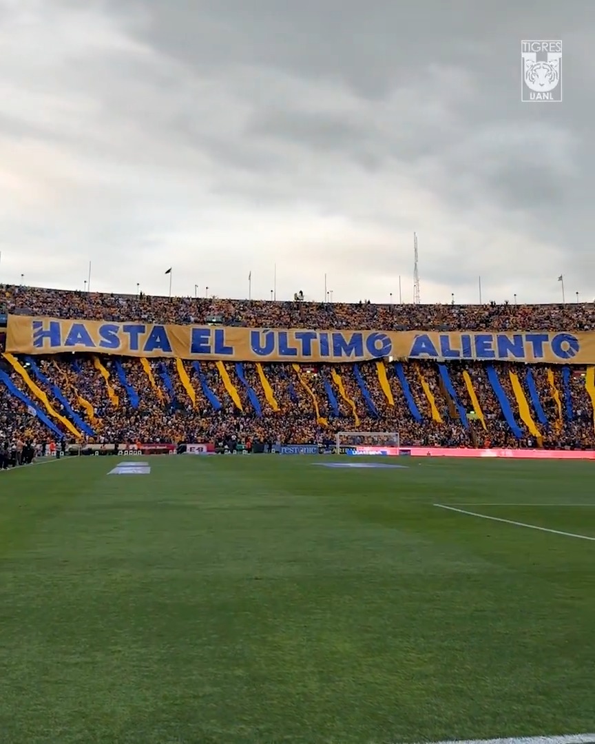 🇺🇦 𝑳𝒂 𝒄𝒂𝒏𝒄𝒉𝒂 𝒅𝒆 𝑳𝒂 𝑼, 𝒍𝒂 𝒉𝒊𝒏𝒄𝒉𝒂𝒅𝒂 𝒅𝒆 𝑬𝒍 𝑴𝒂́𝒔 𝑪𝒂𝒎𝒑𝒆𝒐́𝒏 𝒅𝒆 𝑵𝒖𝒆𝒗𝒐 𝑳𝒆𝒐́𝒏.