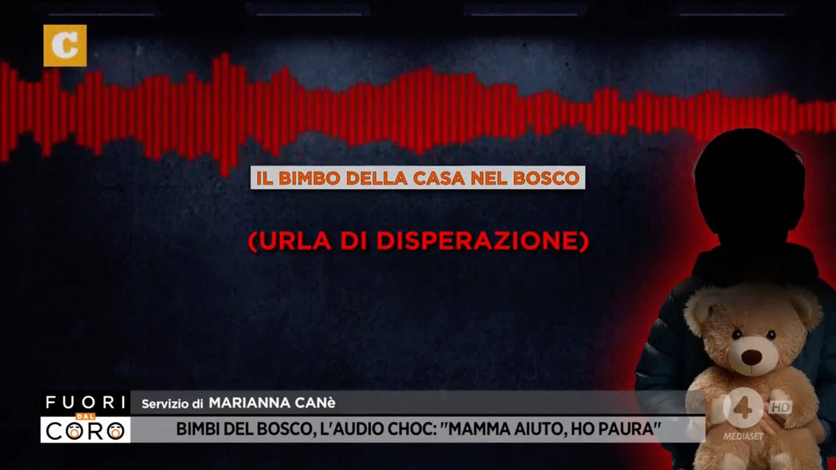 L'audio choc con le urla strazianti di uno dei gemellini figli di Catherine e Nathan, la famiglia della casa nel bosco. Il bimbo piange disperato perché costretto a dormire lontano dalla mamma nella casa-famiglia. Il servizio di Marianna Canè a #Fuoridalcoro