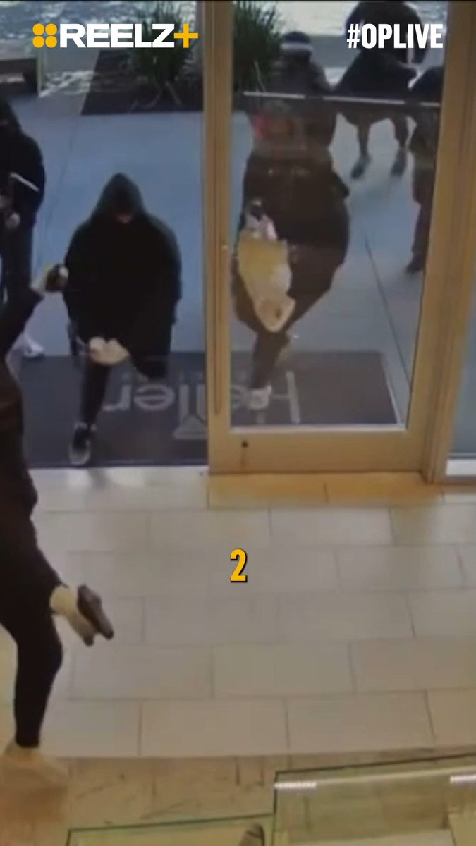 A group of 25 suspects stormed a jewelry store in #SanRamon, California and smashed display cases before grabbing nearly $1 million in jewelry. The robbery unfolded in minutes in broad daylight. 💎 #OPLive #OPNation #REELZ