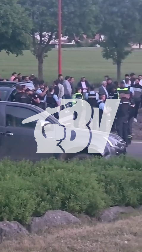🔴 Le sous-préfet veut installer un campement Rom sur le terrain d’un agriculteur, ils se mobilisent ! À Saint-Pierre-en-Faucigny (Haute-Savoie), des agriculteurs bloquent l’installation de 200 roms sur un terrain agricole. Les négociations sont toujours en cours à cette heure.