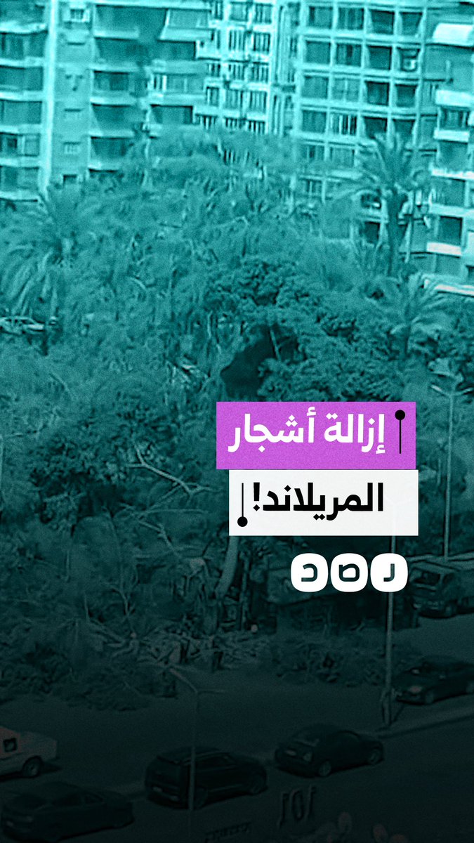 استنكار واسع بسبب إزالة الأشجار التاريخية بمحيط سور المريلاند بمصر الجديدة