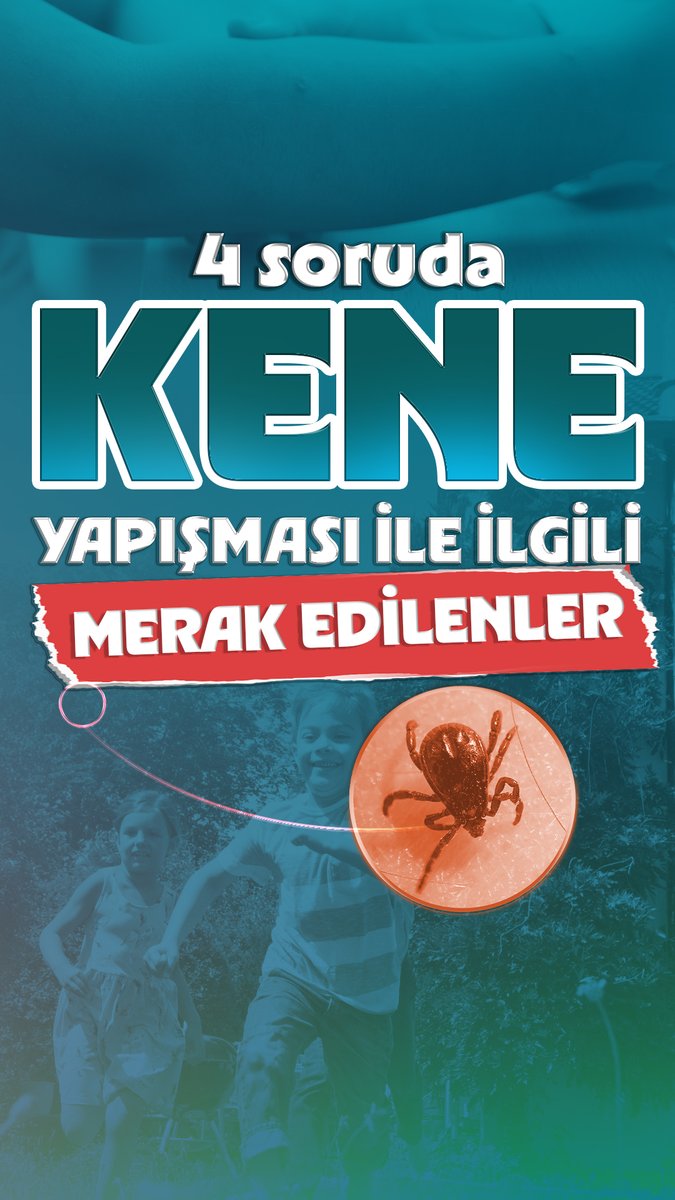 Havaların ısınmasıyla birlikte kene vakaları arttı. Basit ama etkili önlemlerle keneden korunmak mümkün. Peki kene yapışırsa nasıl müdahale edilmeli, hangi durumlarda hastaneye gidilmeli? 👇