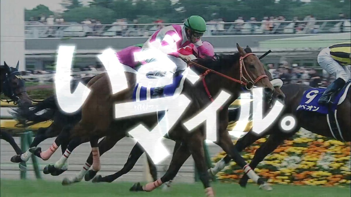 3歳マイル王決定戦 #NHKマイルカップ(GⅠ) 5月10日(日)15:40 発走