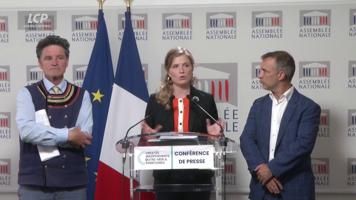 "Pas de chambre, pas de bébé" : Constance de Pélichy propose la création "d'un prêt à taux zéro destiné aux familles" pour l'acquisition du logement principal. "Pour 72% des Français, la question de l'accès au logement est un frein majeur à la natalité", expose-t-elle. #DirectAN