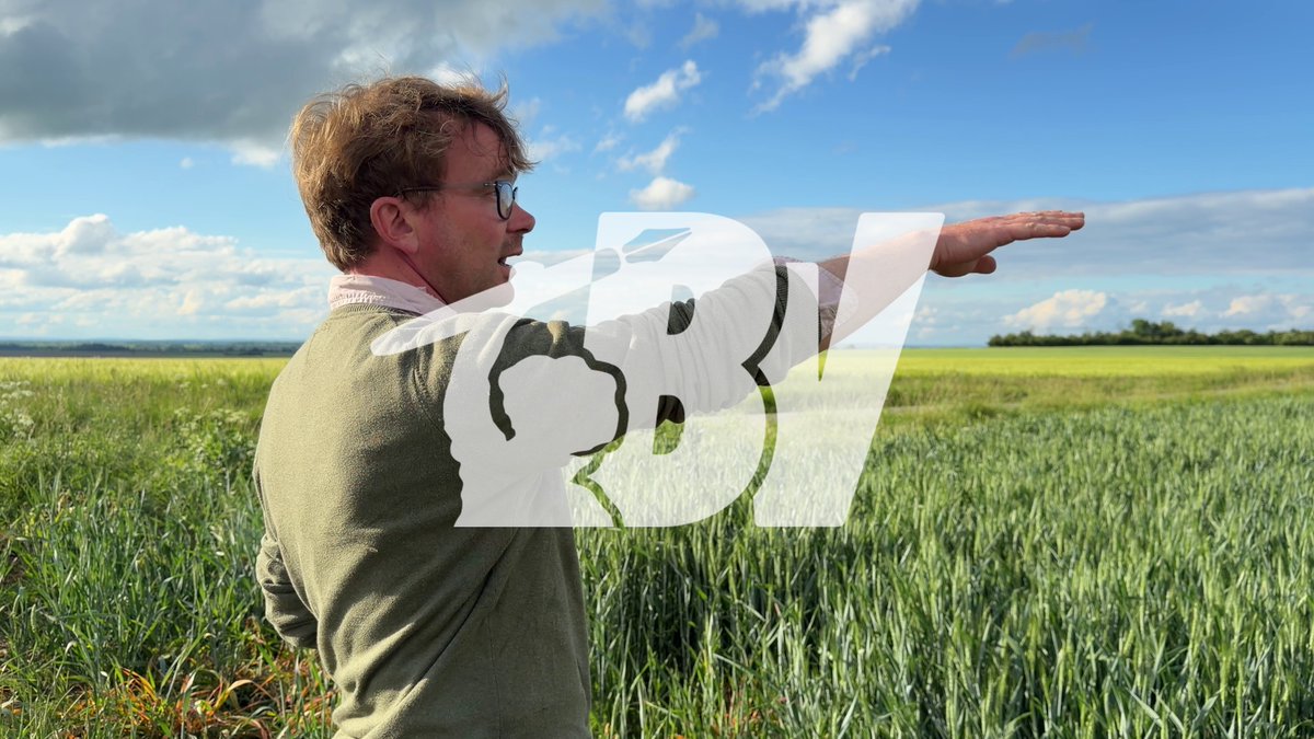 « Tout ça, ça ne se relèvera pas. On a du blé barbu, qui fait fuir les sangliers, mais ça n’a pas marché avec les festivaliers. » Cet agriculteur contemple les dégâts causés par les festivaliers du Teknival de Bourges.