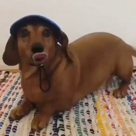 fico extremamente ansioso animado pra ver meu salario pingando na conta msm q eu saiba que a visualizaçao vai ser unica eh tao especial ter aquele dinheiro por 10 minutos q seja
