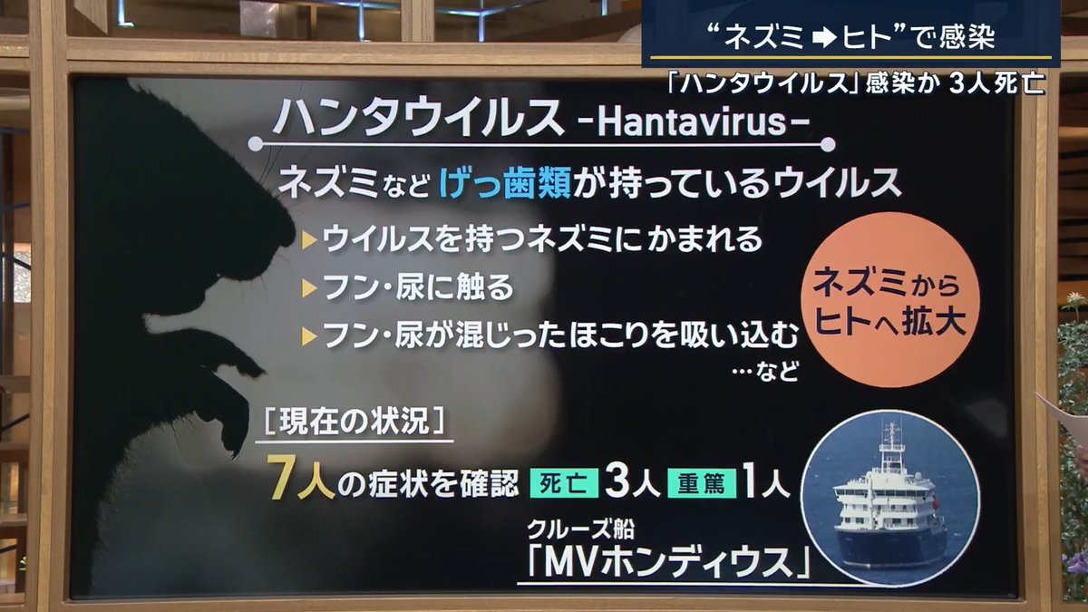 【集団感染の疑い】ハンタウイルスとは？拡大の可能性は？ ｜ ▼ハンタウイルスとは ネズミなどのげっ歯類が持っているウイルス ウイルスを持つネズミに… ・かまれる ・フンや尿に触る ・フンや尿が混じったほこりを吸い込む などによってネズミからヒトへ拡大 現在はクルーズ船「MVホンディウス」の中で感染と感染疑いをあわせて7人の症状を確認 →そのうち3人が死亡し1人が重篤 ▼WHOは「ヒトからヒトへの感染の可能性」 大阪大学医学部 忽那賢志 教授 「ごく稀ではあるが、過去にアルゼンチンで“南米型”のハンタウイルスがヒトからヒトへ感染した例がある」 ▼ハンタウイルスは『アジア型』と『南米型』に分かれる 基本的な症状は、発熱、頭痛、悪寒などインフルエンザに似た症状が出る。治療薬がないため解熱薬や点滴など対症療法が中心 ◼︎アジア型 腎臓に障害が出る 潜伏期間は10～20日。腹痛や嘔吐などの症状がみられ、重症化すると致死率は3～15％程度 ◼︎南米型 肺に障害が出る疾患 潜伏期間は数週間。重症化すると肺に強い炎症が起こり、呼吸困難に陥ることも。致死率が高く約40％に及ぶ 忽那教授は「WHOが指摘するように、今回は“南米型”の可能性がある」 ▼なぜ感染が広がってしまった？ 大阪大学医学部 忽那賢志 教授 「今回は、元々感染していた人が乗船した可能性もある。ヒトからヒトへ感染したとすれば、飛沫感染が考えられ、クルーズ船という限られた空間の中での集団生活のため、“まれに起こり得ることが起こってしまった”可能性がある」 「WHOは濃厚接触者を特定し、今後発症しないか慎重に経過を観察すると思われる」 ▼日本に拡大する可能性は？ 「今回は調査中だが、基本的にはネズミからヒトへの感染なので過度に心配する必要はないと思う」 「日本のネズミは、ハンタウイルスを持つ個体がほとんどいない。海外から入りこむ可能性もあるが、検疫で定期的にネズミの検査をしていて、これまでに確認された事例はない」 →「今回の症例から、日本に感染が拡大してくる可能性は低いが、今後の推移を見守る必要がある」