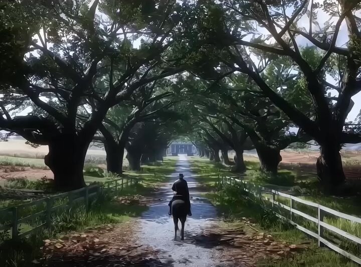 If RDR2 was this perfect imagine how good GTA 6 will be