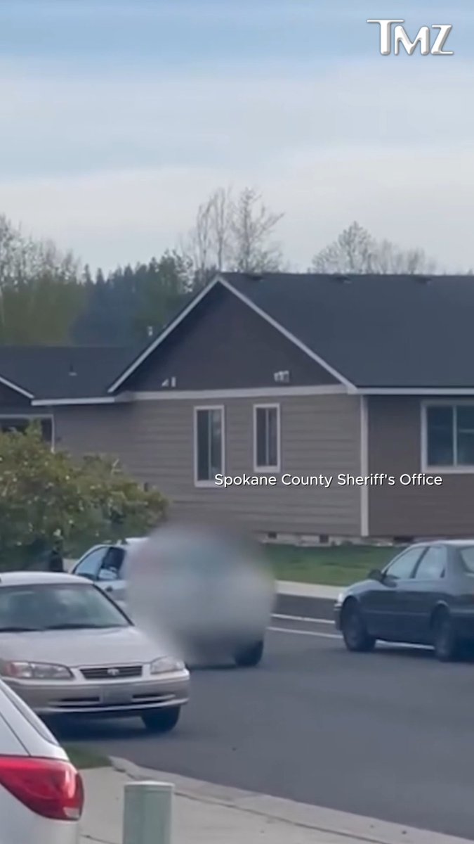 😱 A Washington woman is accused of chasing a child down a sidewalk in a reckless driving incident. She was arrested for DUI and trespassing.