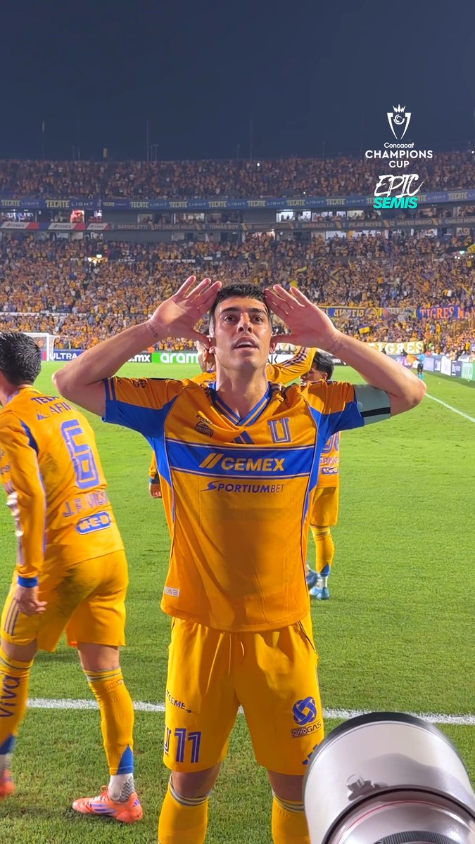 ¡Brunetta aparece en el momento indicado! 🐯