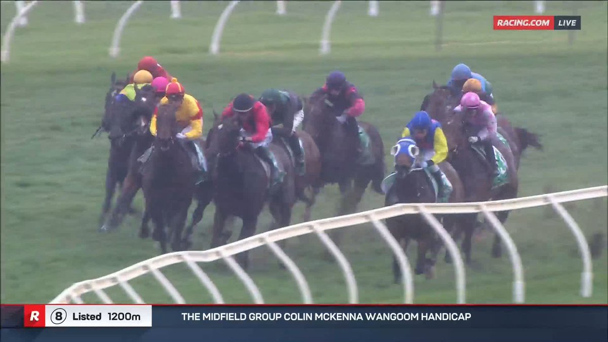 Colin Mckenna Wangoom | Oliveanotherday In the pouring rain - wow, Oliveanotherday just put them to bed! 🌧️🔥 📺 Ch. 78/68, Foxtel 529, Kayo or via our app REPLAYS: