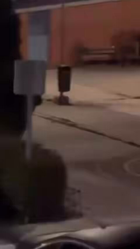 Manada de moros agreden a una pareja en Parla…