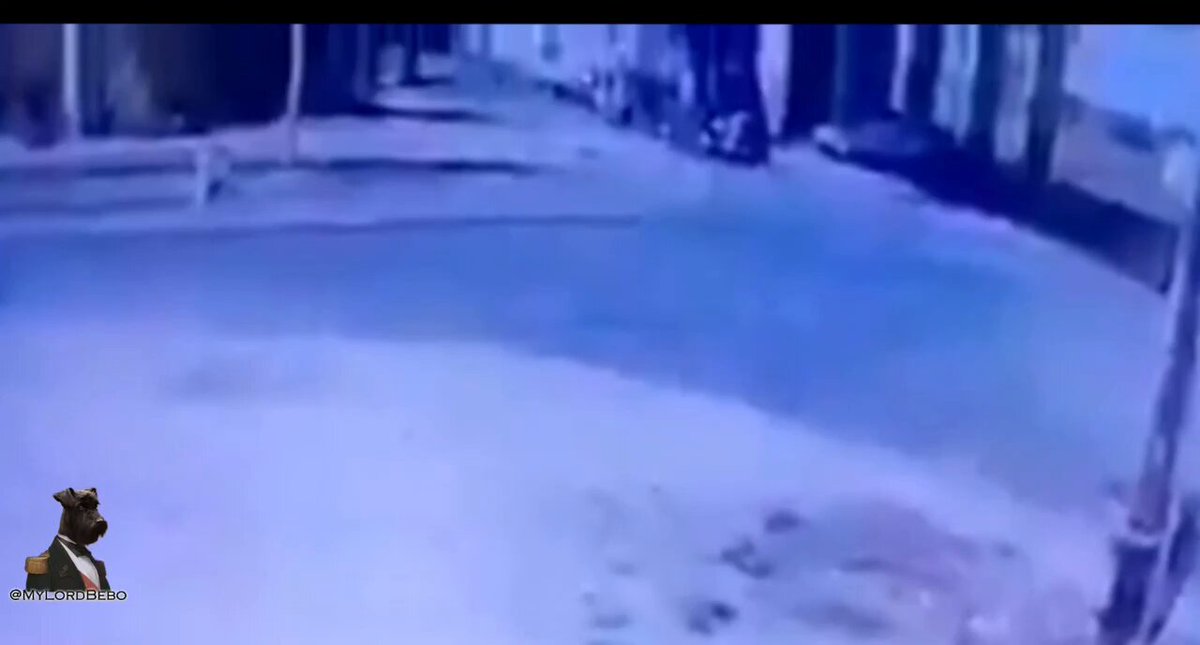 🇲🇽 Train collided with a fuel tanker truck in Querétaro, Mexico Truck tried to get ahead of the train, but didn't make it in time — massive explosion followed At least 2 people killed &amp; at least 1 suffered severe burns
