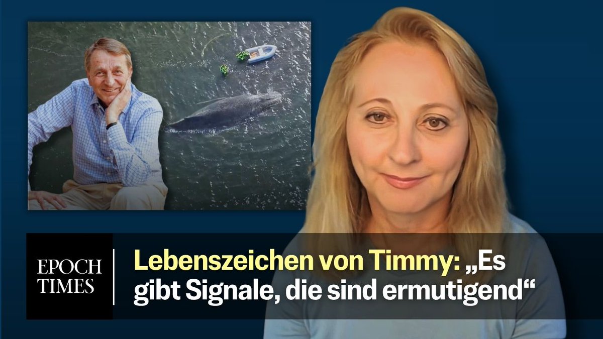 Millionen Menschen verfolgten die Rettungsaktion des an der Ostseeküste gestrandeten Buckelwals Timmy/Hope. Wir sprachen mit der Frau, die den Unternehmer Walter Gunz dazu bewegte, eine neue Rettungsaktion zu starten und so alles ins Rollen brachte. Es handelt sich um die in Washington, D.C. lebende Deutsch-Amerikanerin Nicoletta DeVidar (Nicolette DeVidar). Sie berichtet unter anderem von der Entlassungsaktion des Wals am 2. Mai gegen Uhr aus dem Lastkahn, mit dem der Wal bis in die Nordsee geschleppt worden war. +++ Holt euch Bilder von Timmy nach Hause und unterstützt unseren qualitativen Journalismus! Das Timmy-Poster mit allen wichtigen Infos jetzt Verfügbar zum Vorbestell-Preis! +++ Die beiden Financiers Karin Walter-Mommert und Walter Gunz distanzierten sich in einem Schreiben von der vorfristigen Entlassungsaktion des Wals. Der Eigner, die Betreiber und einige Personen der Crew der Schiffe „Fortuna B“ und „Robin Hood“ hätten etwaige Konsequenzen dafür zu tragen. Es wurden Ermittlungen aufgenommen.