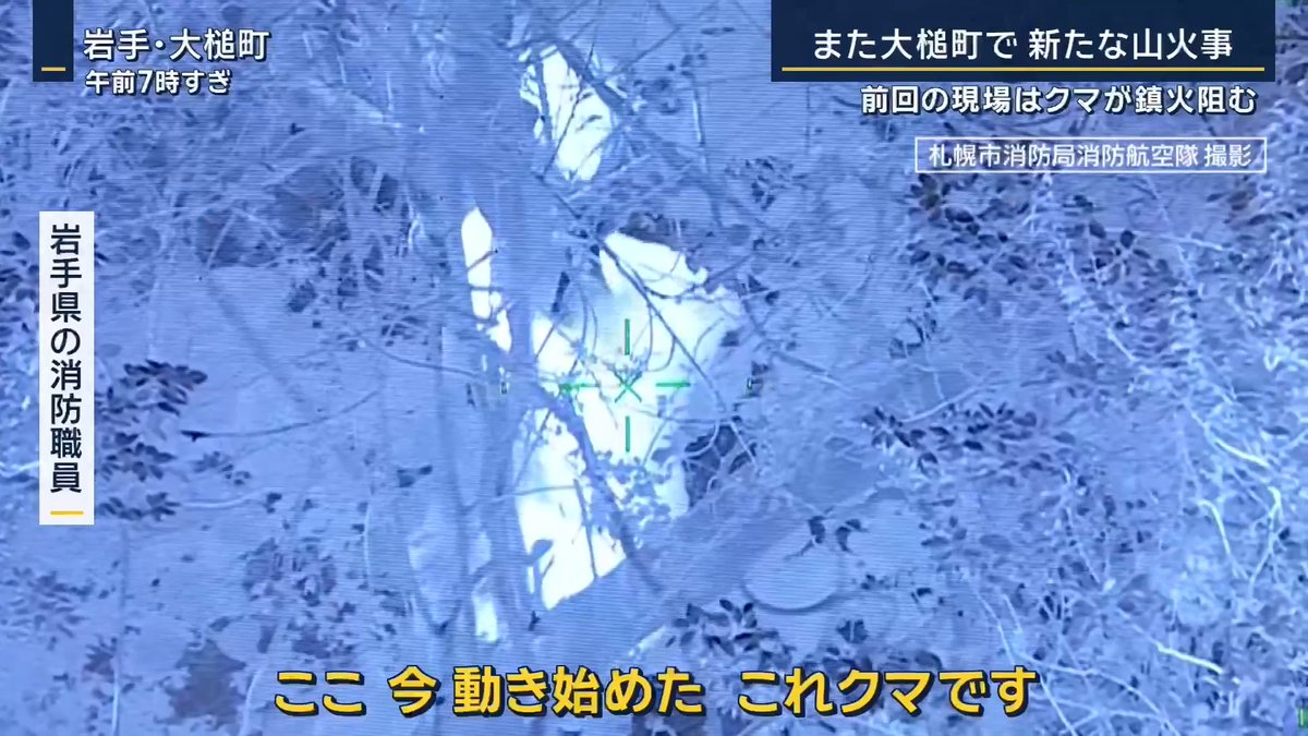 【岩手・大槌町で新たな山火事】前回の現場では“鎮火”に向けて弊害も | 2週間前に大規模な山林火災が発生した大槌町 この山林火災は鎮圧したものの、2週間前に出火した場所とは違う場所で、再び山火事が発生 今回は、役場も近い町の中心部付近から出火 住民 「またすぐこの通りだもの。情けない」 「みんな火は気をつけている。たき火したわけではないと思うけど、たばこでも捨てたのだかわからない」 ▼鎮火に向けた作業に新たな“弊害”も… 2週間前の山林火災は平成以降、国内2番目となる焼失面積で、一時、町の人口の約3割に避難指示が出される 5月2日は“鎮圧”が宣言され、火を完全に消し止める“鎮火”に向けて上空から熱源調査を行ったところ、少なくとも3頭のクマを確認 岩手県防災航空課 高田邦生隊長 「ヘリが近づいても動かない状況。地上消火はクマが近くにいるので困難だと思う」 クマがいたのは、6日に発生した火事の現場とは少し離れた場所 →6日の山火事について消防は『延焼拡大の恐れはなくなった』としている