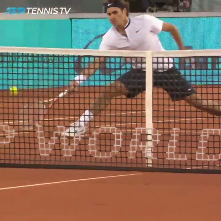 Si no hubiese existido habría que inventarlo. La cabra en mis libros. Roger Federer❤️