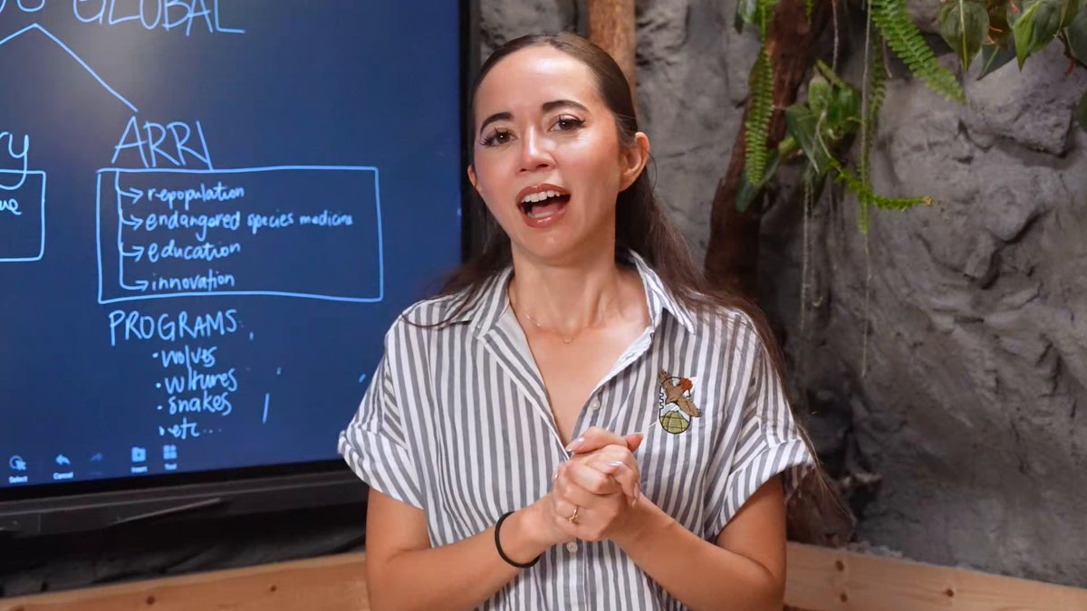 Talking about the future of Alveus 🙂 New video, go check it out if you haven’t!