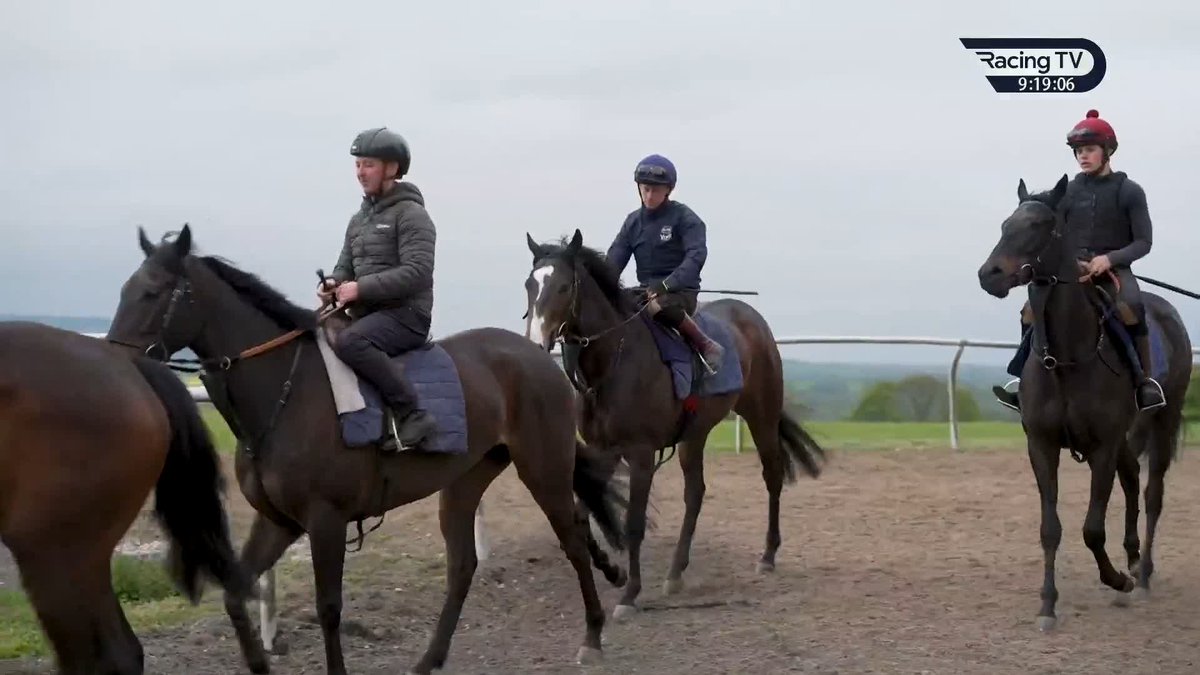 🤣 A great response from Peter Fahey on his ambitions as a youngster and his hopes for the future of the yard at Musley Bank #ThisRacingLife