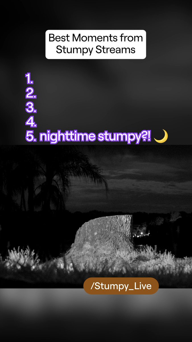 we stan stumpy 💜 /stumpy_live is streaming every second of every day from Florida so check them out RIGHT NOW