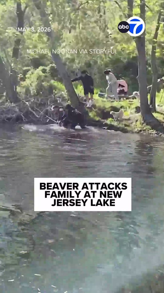 A shocking and scary moment for a family in New Jersey. A rabid beaver was seen attacking people at Lake Henry in Mahwah. Police said an 8-year-old boy was taken to the hospital after being bitten in the leg by the beaver who had “exited the lake and charged him.”