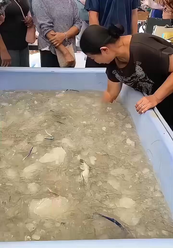 “一位大妈在街边挑战捞虾活动，捞到多少就拿多少，结果狠狠的给老板上了一课！”