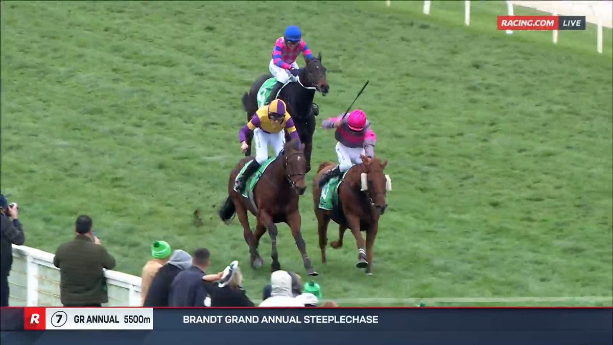 Grand Annual Steeplechase | Instigator Instigator wins a Grand Annual for the ages for Aaron Purcell and Braidon Small 🔥 📺 Ch. 78/68, Foxtel 529, Kayo or via our app REPLAYS: