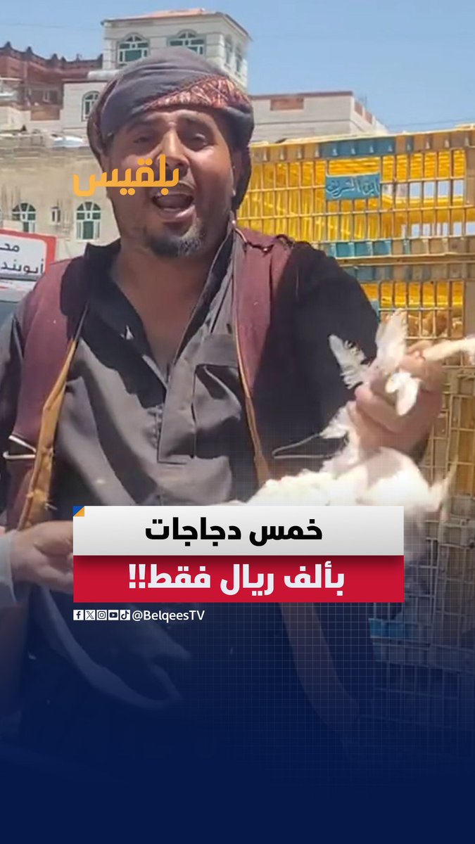 فيديو متداول لبائع دواجن بمحافظة إب يبيع خمس دجاجات بألف ريال..برأيك ما الذي يدفعه لبيعها بهذا السعر الزهيد؟