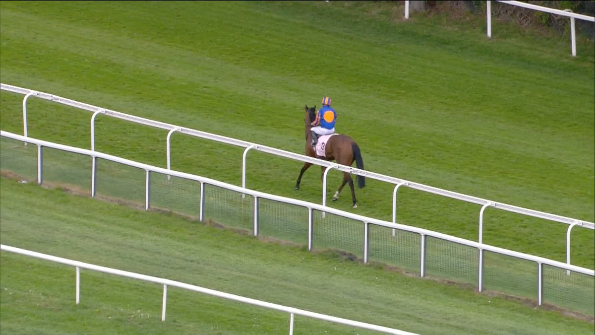 Another trial win for Ballydoyle! CONSTITUTION RIVER wins the Boodles Raindance Dee Stakes 🏆