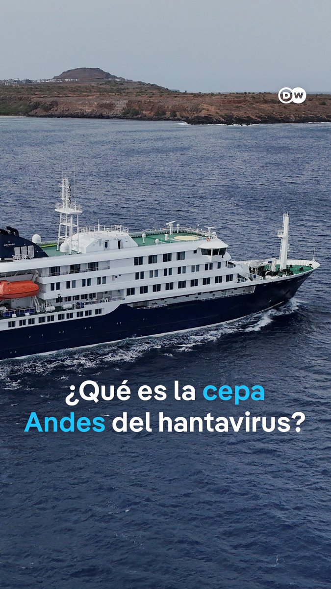 La cepa Andes del hantavirus, la más peligrosa y transmisible bajo estrecho contacto entre humanos Esta variante es la predominante en Argentina, desde donde zarpó el crucero MV Hondius, ahora confinado por un brote de esta enfermedad. En Argentina, el virus tiene una alta letalidad de poco más del 30%. Los humanos usualmente se contagian de hantavirus al exponerse a polvo contaminado de orina o excremento de roedores.