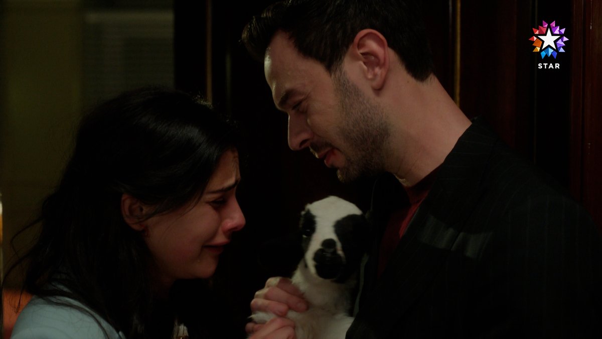 "Burada seni görmek isteyen biri var." 🐑 #SevdiğimSensin yeni bölümüyle Star'da! Sevdiğim Sensin