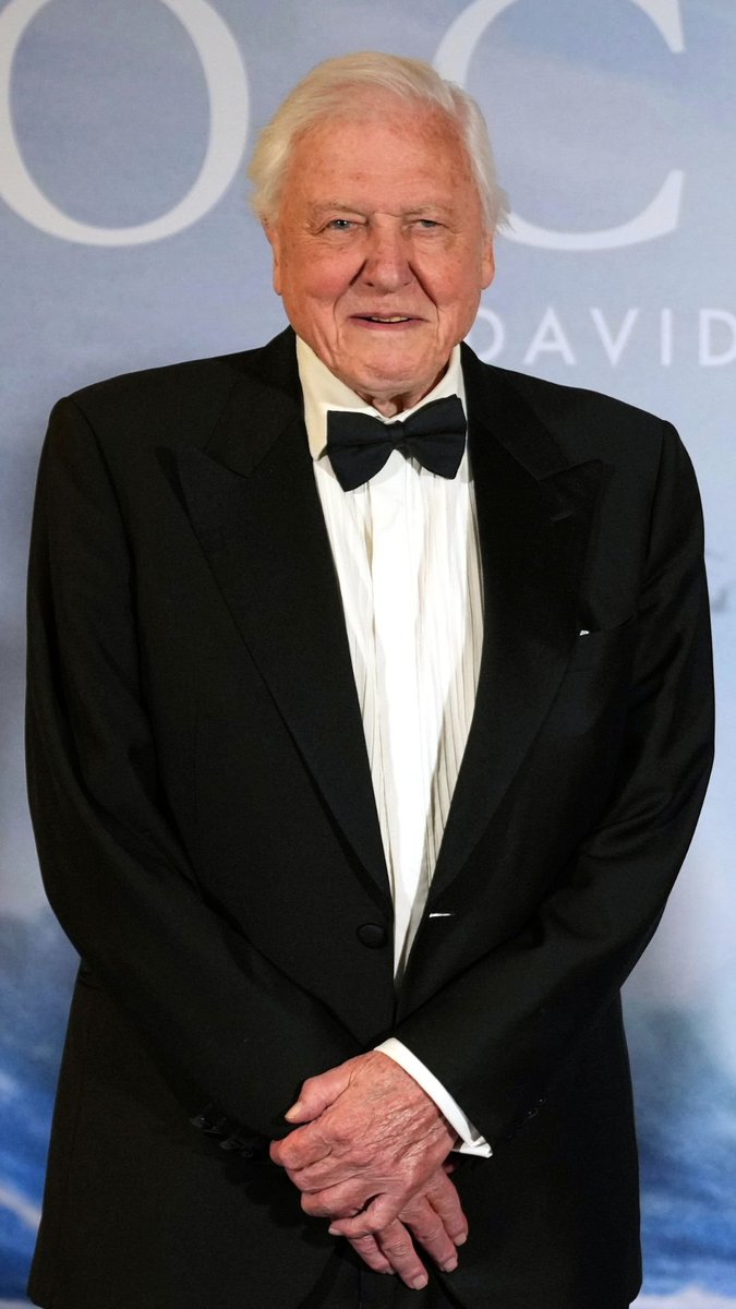 A newly discovered parasitic wasp from Chile has been named after Sir David Attenborough ahead of his 100th birthday, one of several tributes marking the broadcaster’s influence on natural history, conservation and environmental awareness.
