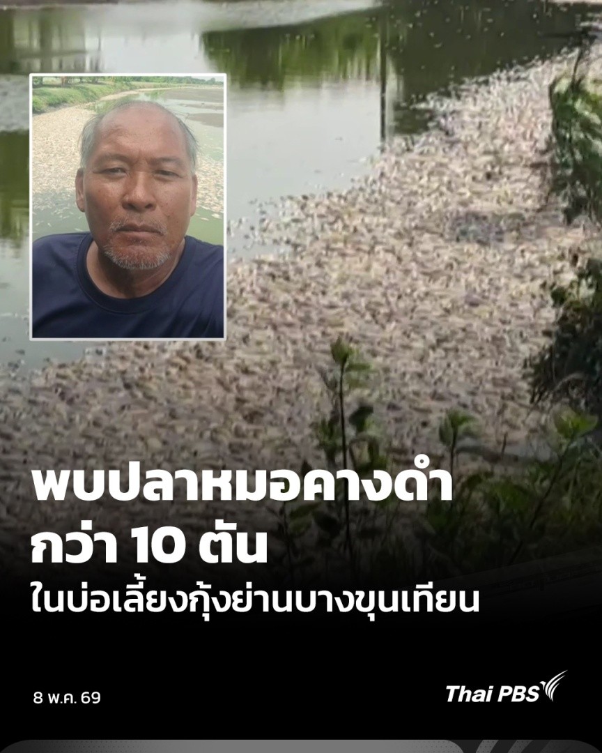 อาจหายไปไม่ได้เป็นข่าวระยะหนึ่ง แต่ยังไม่ได้หมดไป สำหรับปลาหมอคางดำ ล่าสุด พบการระบาดในบ่อกุ้งกว่า 40 ไร่ เขตบางขุนเทียน กรุงเทพฯ เจ้าของบ่อกุ้งต้องล้างเคลียร์บ่อ จับปลาหมอคางดำได้กว่า 10 ตัน ขณะที่ รมช.เกษตร ยัน ยังควบคุมปริมาณปลาหมอคางดำได้ ไม่พบการระบาดเพิ่ม #ข่าวค่ำ #ThaiPBS
