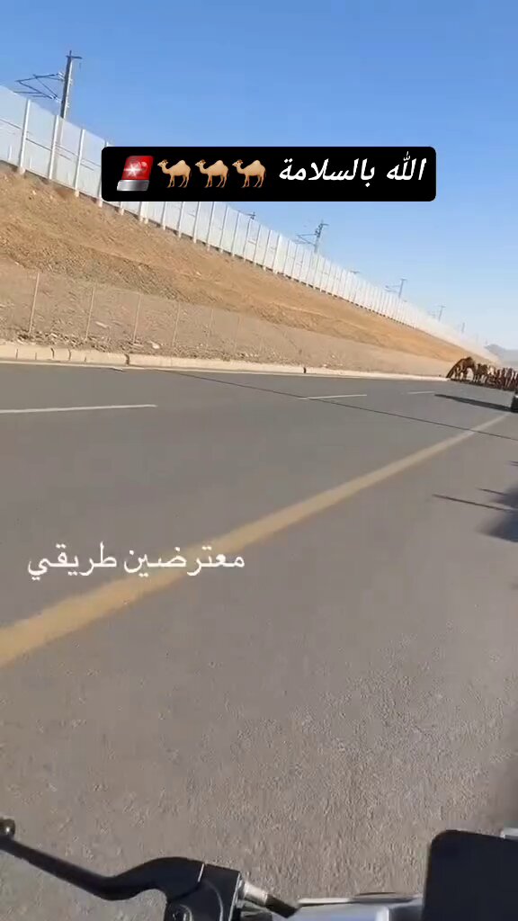 الطريق للسيارات والدبابات ماهو لحلالك عشان تخليها تقطع الشارع بعز النهار لا وفوقها تتهاوش معه عشان ما انتظرهم يقطعون