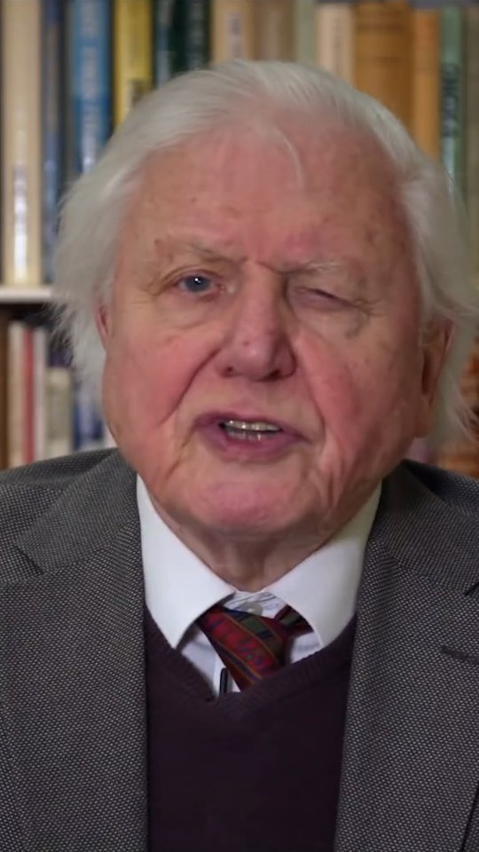 Happy 100th birthday to nature’s most trusted voice